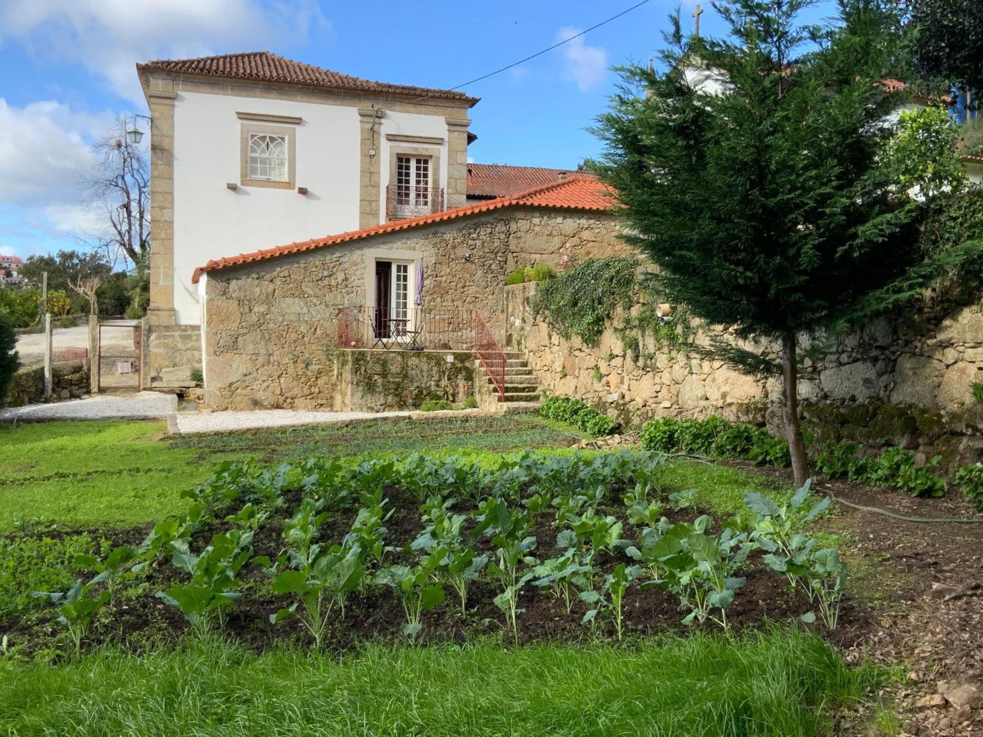 巴罗塞拉斯Quinta Do Bravio别墅 外观 照片