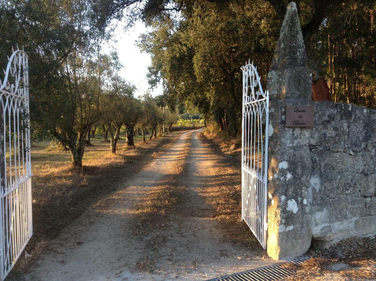 巴罗塞拉斯Quinta Do Bravio别墅 外观 照片